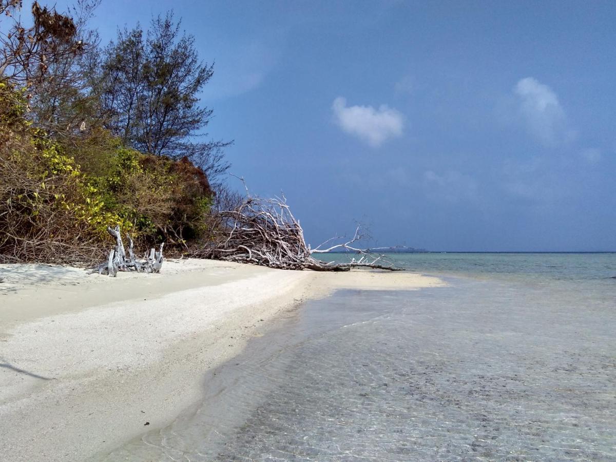 Asari Timo Cottage Karimunjawa Εξωτερικό φωτογραφία